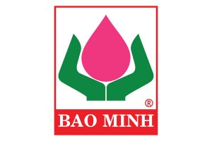 logo baominh