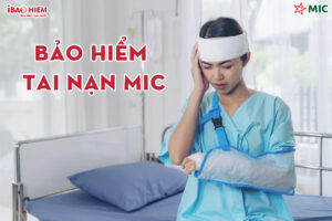 Bao hiem tai nan MIC