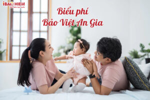 Bieu phi Bao Viet An Gia