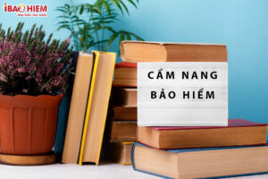 Cam nang bao hiem Bao hiem truc tuyen IBAOHIEM