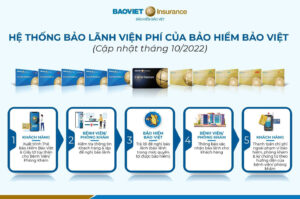 Cap nhat danh sach bao lanh vien phi Bao hiem Bao Viet thang 10 nam 2022