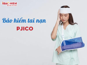 Minh hoa bao hiem tai nan 24 24 PJICO