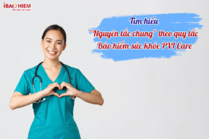 Tim hieu Nguyen tac chung theo quy tac bao hiem suc khoe PVI Care