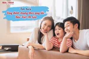 Tim hieu quy dinh chung theo quy tac Bao Viet An Gia