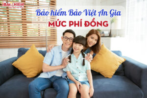 Muc phi goi Dong bao hiem suc khoe Bao Viet An Gia