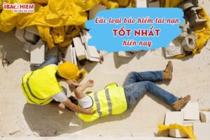 TOP cac loai bao hiem tai nan tot nhat hien nay