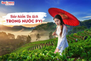 Bao hiem du lich trong nuoc PVI