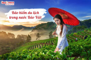 bao hiem du lich trong nuoc bao viet