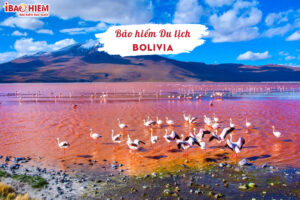 Bao hiem du lich Bolivia