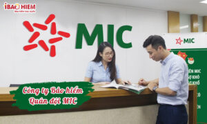 Cong ty bao hiem quan doi MIC