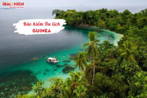 Bao hiem du lich Guinea