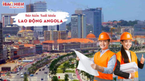 Bao hiem xuat khau lao dong Angola