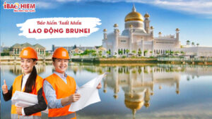 Bao hiem xuat khau lao dong Brunei