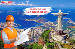 bao hiem xuat khau lao dong Brazil