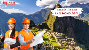 bao hiem xuat khau lao dong Peru