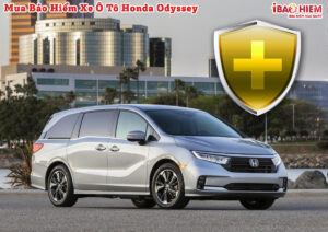 Bao hiem xe o to Honda Odyssey