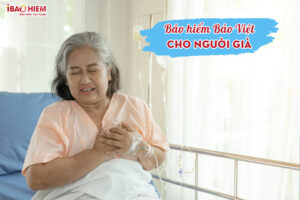 BHBV cho nguoi gia