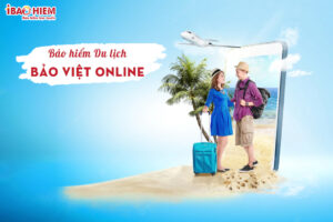 BHDL Bao Viet online