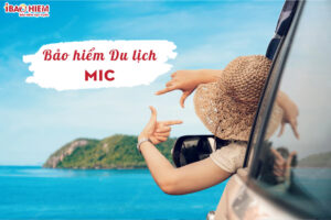 BHDL MIC