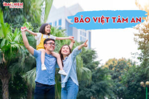 Bao Viet Tam An