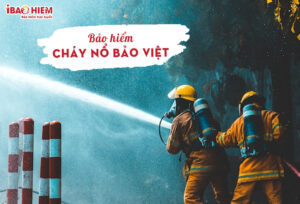 Bao hiem chay no Bao Viet