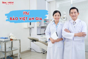 Phi Bao Viet An Gia