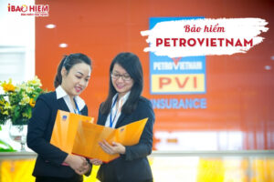 bao hiem petrovietnam