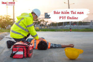 Bao hiem tai nan PVI online