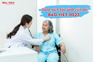 Danh sach bao lanh vien phi Bao Viet 2020