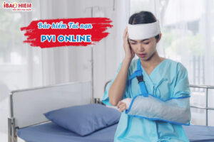 Bao hiem tai nan PVI Online