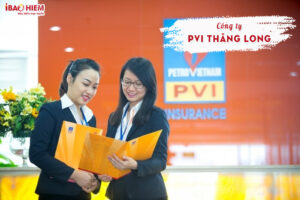 Cong ty PVI Thang Long