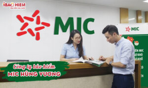 Cong ty bao hiem MIC Hung Vuong