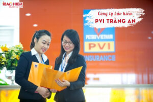 Cong ty bao hiem PVI Trang An