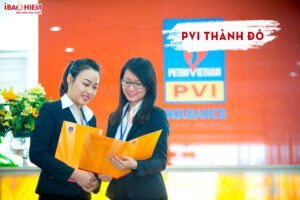 PVI Thanh Do