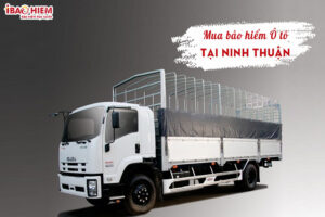 Mua bao hiem o to tai Ninh Thuan ibaohiem