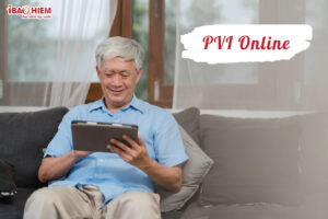 PVI Online