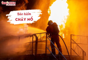 Bao hiem chay