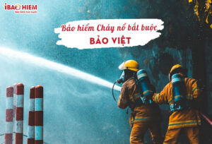 Bao hiem chay no bat buoc Bao Viet