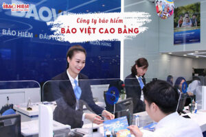 Cong ty bao hiem Bao Viet Cao Bang