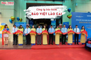 Cong ty bao hiem Bao Viet Lao Cai