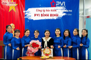 Cong ty bao hiem PVI Binh Dinh