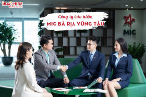 Cong ty bao hiem MIC Ba Ria Vung Tau