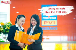 Cong ty bao hiem Dau khi Viet Nam