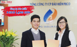 Cong ty bao hiem PJICO Lang Son