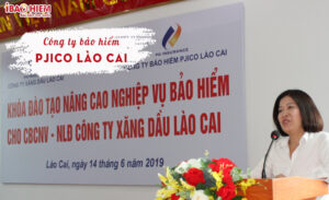 Cong ty bao hiem PJICO Lao Cai