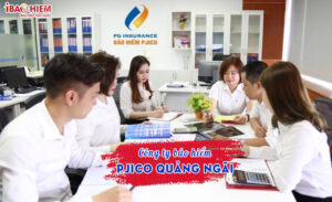 Cong ty bao hiem PJICO Quang Ngai