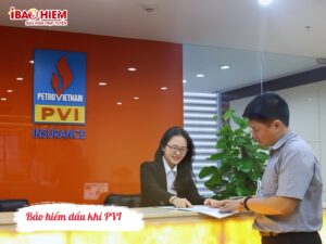 Bảo hiểm dầu khí PVI