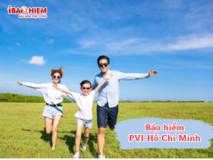 Bảo hiểm PVI Hồ Chí Minh