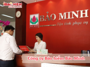 Công ty Bảo hiểm Bảo Minh