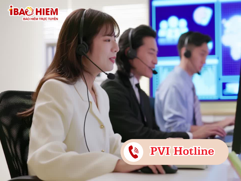 PVI Hotline